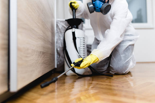 Best Bed Bug Extermination  in Mazon, IL
