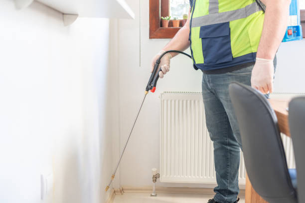 Best Affordable Pest Control Services  in Mazon, IL