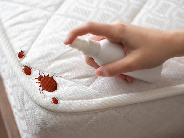 Best Pest Control Near Me  in Mazon, IL