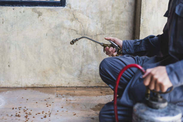 Best Residential Pest Control  in Mazon, IL