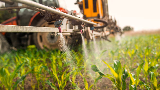 Best Insect Control  in Mazon, IL